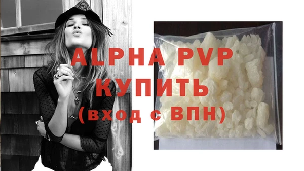 стафф Надым